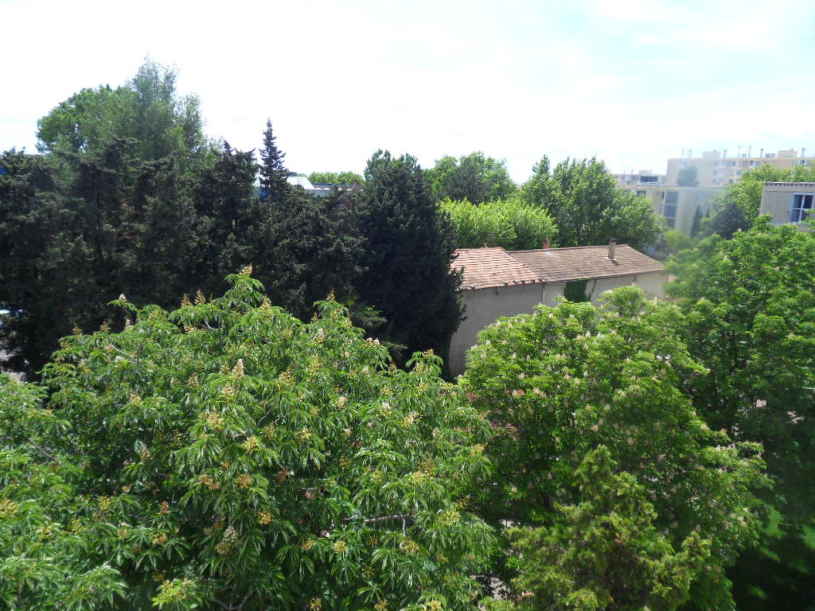 Image_1, Appartement, Avignon, ref :VENTE 03/25