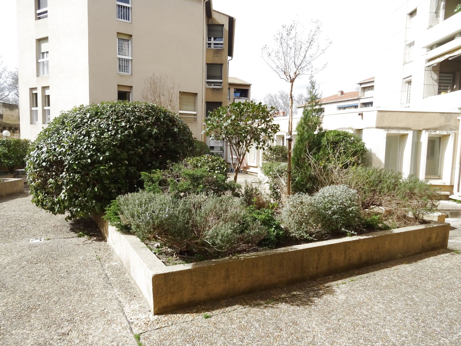 Image_11, Appartement, Avignon, ref :AVILOC1602